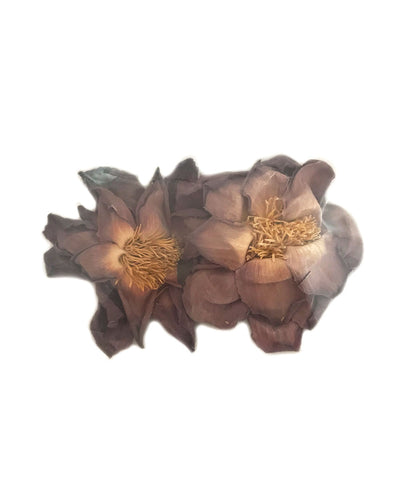 Organic Whole Sacred Pink Lotus 2 Flower Packs (Nelumbo nucifera)