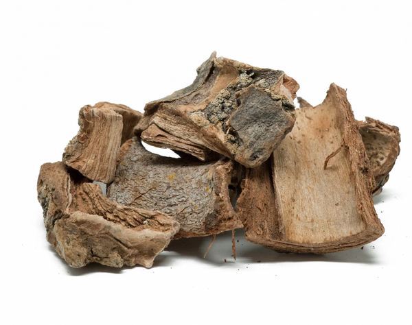 Cuachalalate Bark C/S (Amphipterygium adstringens)