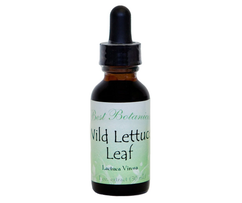 Wild Lettuce Leaf Extract Herbal Tincture