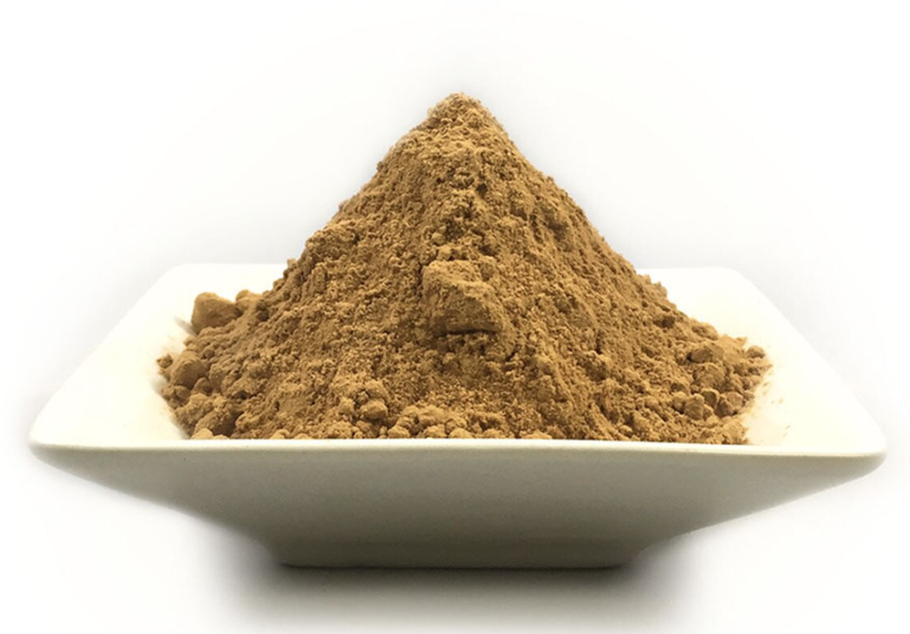 Red Reishi Mushroom 30% Extract (Ganoderma lucidum) Powder